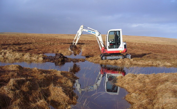 Restoration at Blackpitts, Exmoor (Exmoor National Park Authority)